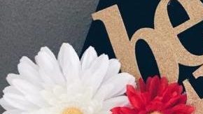 Photo: Instagram/stylingamanda