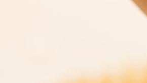 Los Poderes Curativos de la Miel