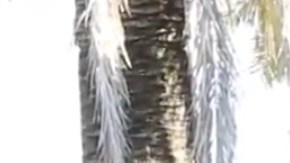 Jose Susie Napa is a special place