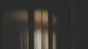 Photo: Unsplash/@yuni_ladyday2