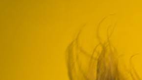 Photo: Unsplash/@brucemars