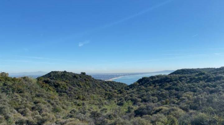 Photo: Unsplash/@matweller