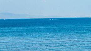 Photo: Unsplash/@nickkarvounis