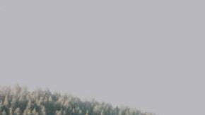 Photo: Unsplash/@priscilladupreez