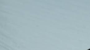 Photo: Unsplash/@williamtm