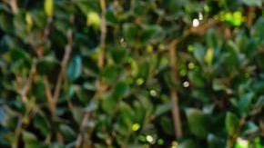 Photo: Unsplash/iHeart Radio