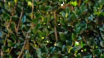 Photo: Unsplash/iHeart Radio