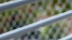 Lady Soul Fly Jewelry