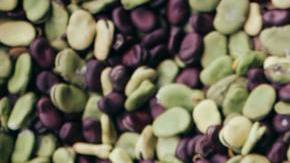 Photo: Unsplash/@onice