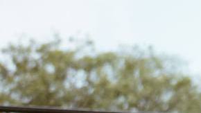 Photo: Unsplash/@juanmramosjr