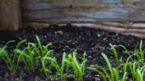 Photo: Unsplash/@markusspiske