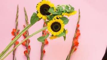 Photo: Instagram/zulydelarose