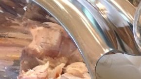 Trout Dip Hiplatina Susie