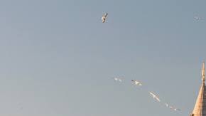 Photo: Unsplash/@ashta