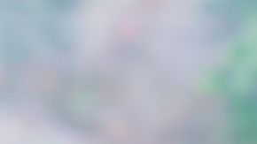 Latina book recommendations HipLatina