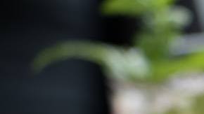 Photo: Unsplash/@dylandgillis