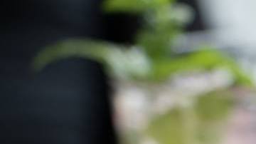 Photo: Unsplash/@dylandgillis