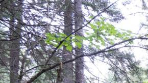 Photo: Unsplash/@gillenha