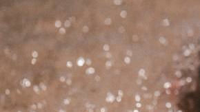 Photo: Unsplash/@jakobowens1