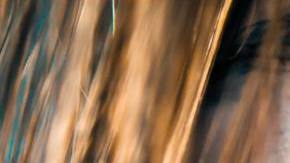 Photo: Unsplash/@jamie_fenn