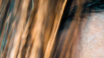 Photo: Unsplash/@jamie_fenn