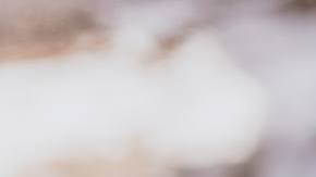 Photo: Unsplash/@kate_torline