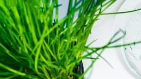 Photo: Unsplash/@katerinapavlickova