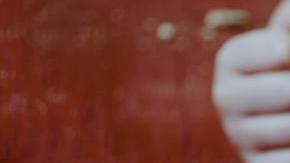 Photo: Unsplash/@kellysikkema