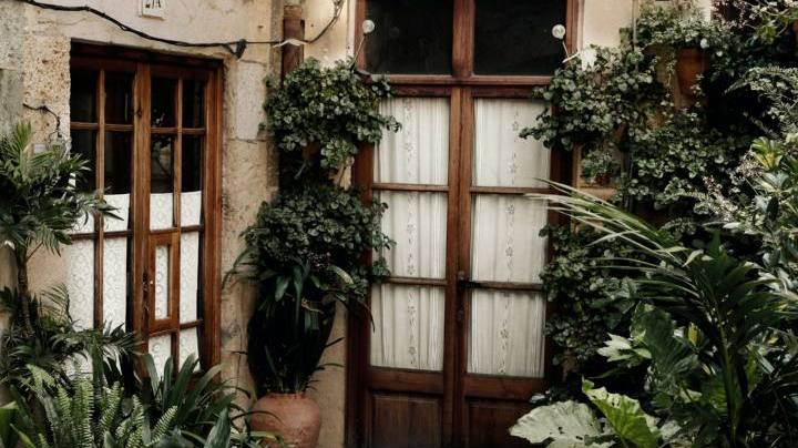 Photo: Unsplash/@sir_moon