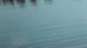 Photo: Unsplash/@taylor_melesh