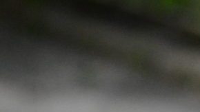 gallery gurls HipLatina