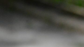 gallery gurls HipLatina