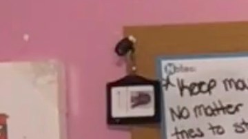 Jennifer Hernandez HipLatina Single Life