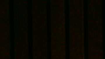 Photo: Unsplash/@gilbster