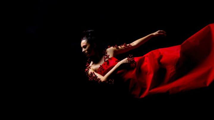 Photo: Unsplash/gracefulgreiss