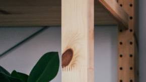 Photo: Unsplash/jonasleupe