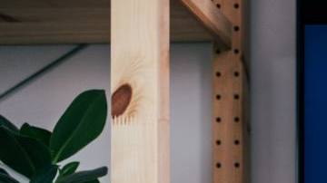 Photo: Unsplash/jonasleupe