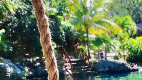 Photo: Unsplash/@jorgefdezsalas