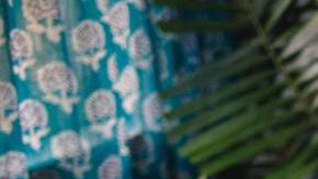 Photo: Unsplash/@katya