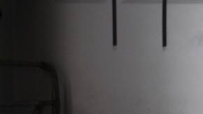 Photo: Unsplash/@thesequoialife