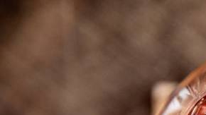 Photo: Unsplash/@mphotographym