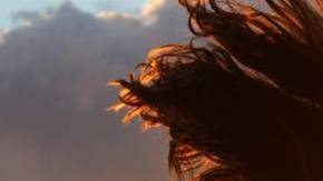 Photo: Unsplash/@noahsilliman