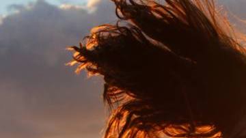 Photo: Unsplash/@noahsilliman