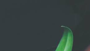 Photo: Unsplash/@priscilladupreez