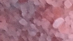 Photo: Courtesy of Johanna Ferreira