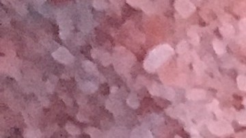 Photo: Courtesy of Johanna Ferreira