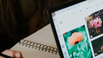 Photo: Unsplash/@brookecagle