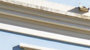 Photo: Unsplash/@dawinrizzo