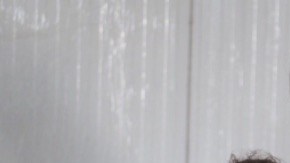 demimentalhealth Hiplatina