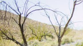 Photo: Unsplash/@wizwow